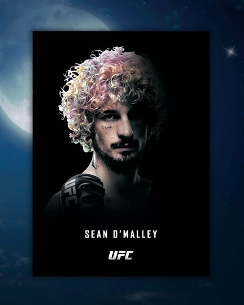 2024 Topps Midnight UFC Hobby Box