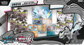Pokémon TCG Black Bolt & White Flare Unova Heavy Hitters Premium Collection