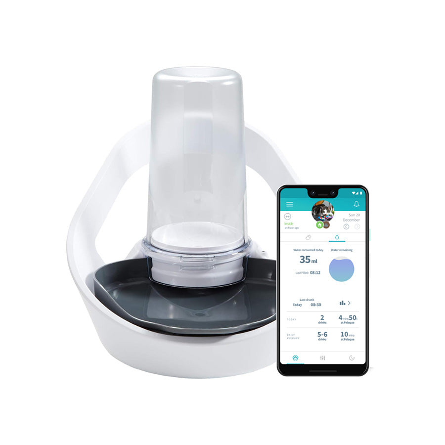 SureFlap Felaqua Connect Smart Pet Water Bowl – White
