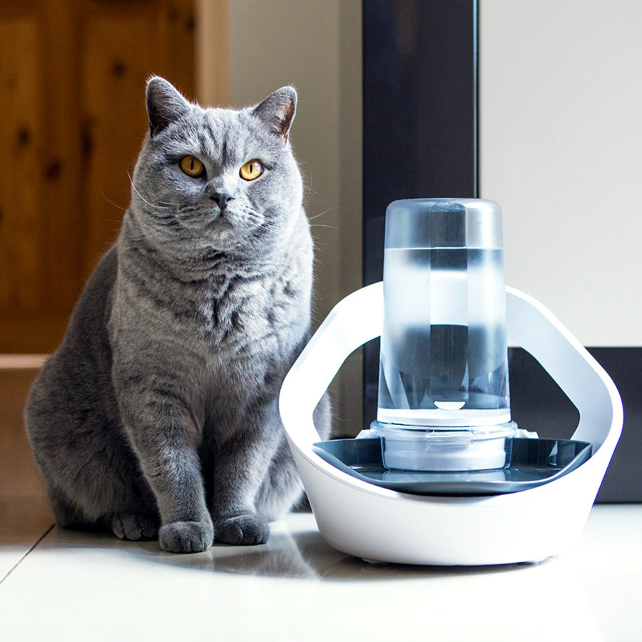 SureFlap Felaqua Connect Smart Pet Water Bowl – White