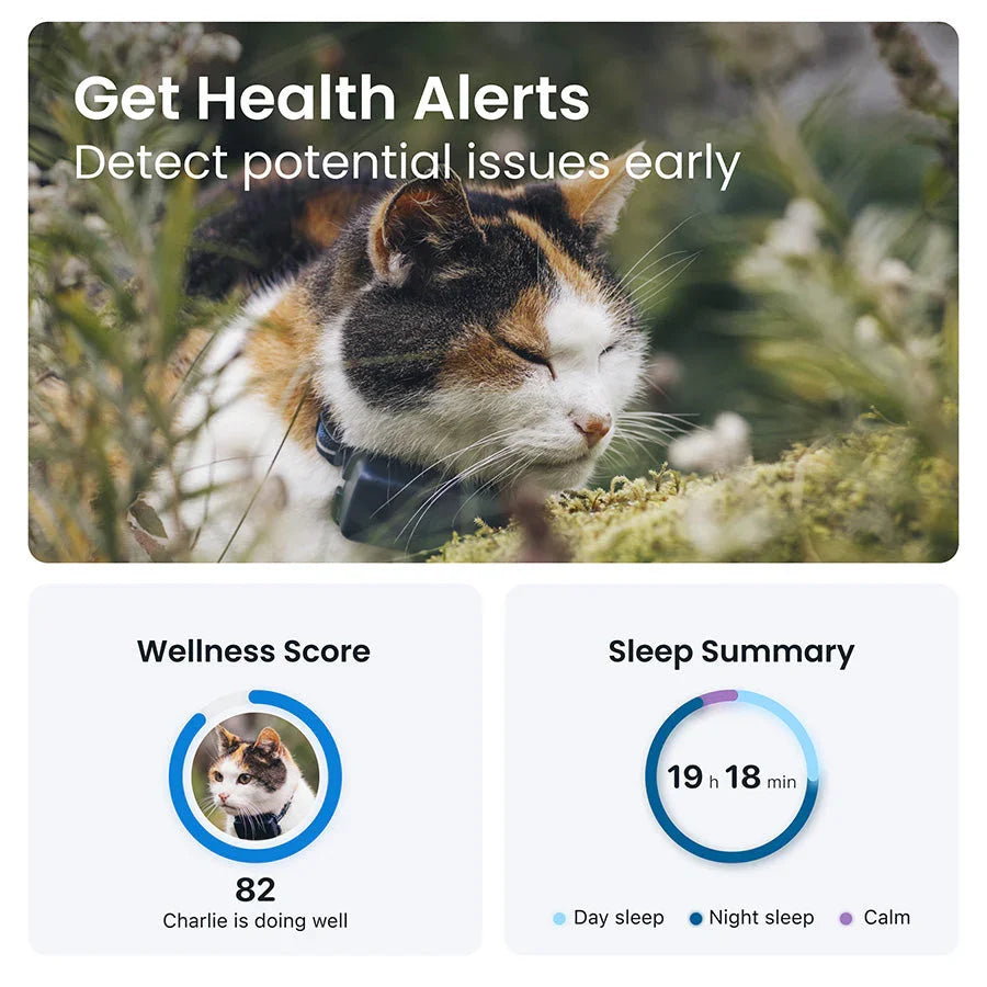 Tractive Smart GPS Cat Tracker with Activity Monitoring – Black